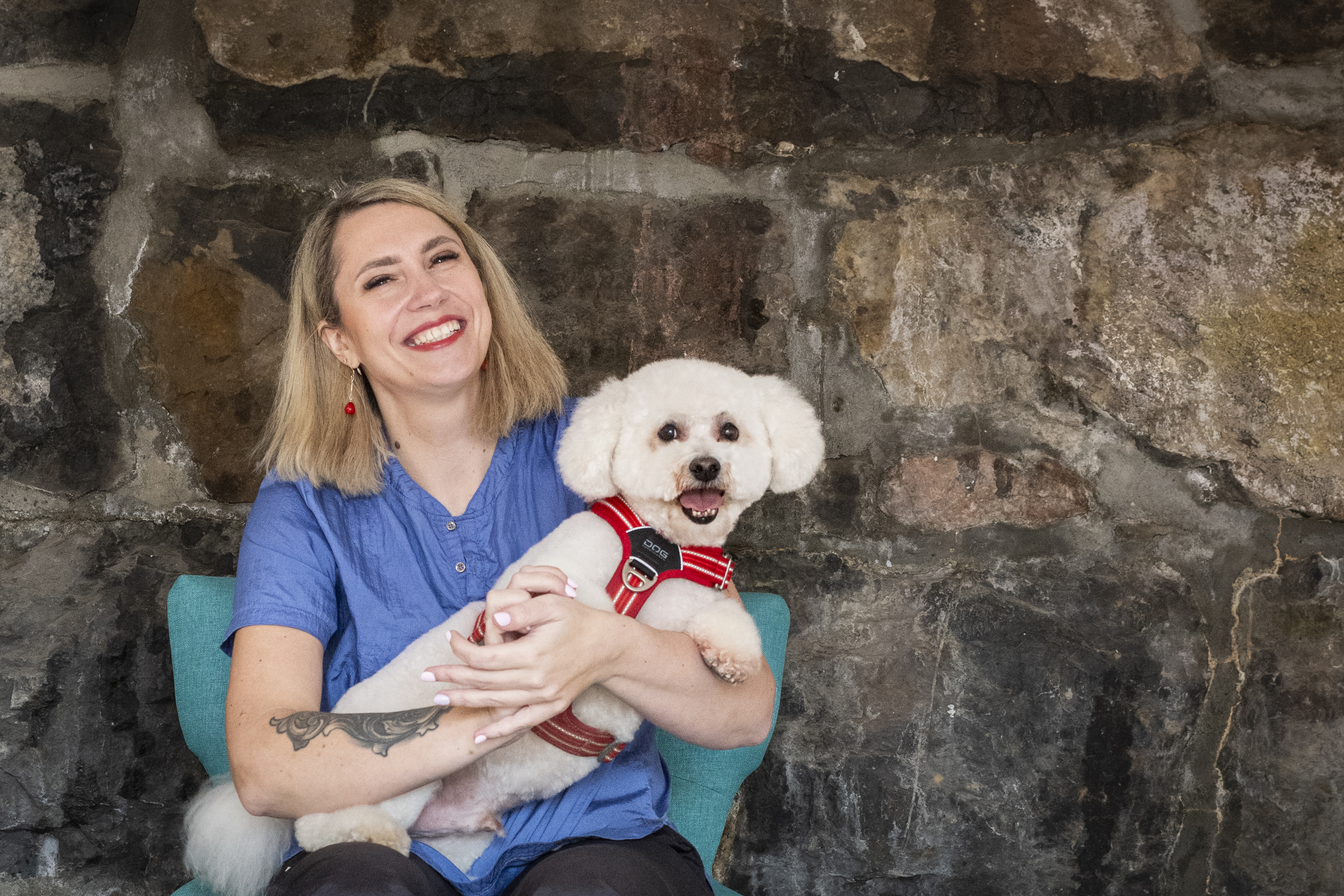 Dog grooming salon